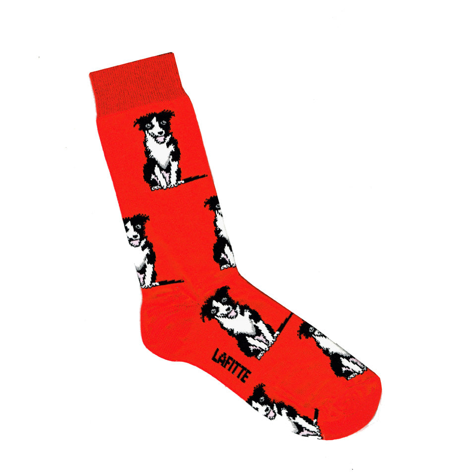 Red Border Collie Print Socks | Shop Online | LAFITTE Australia