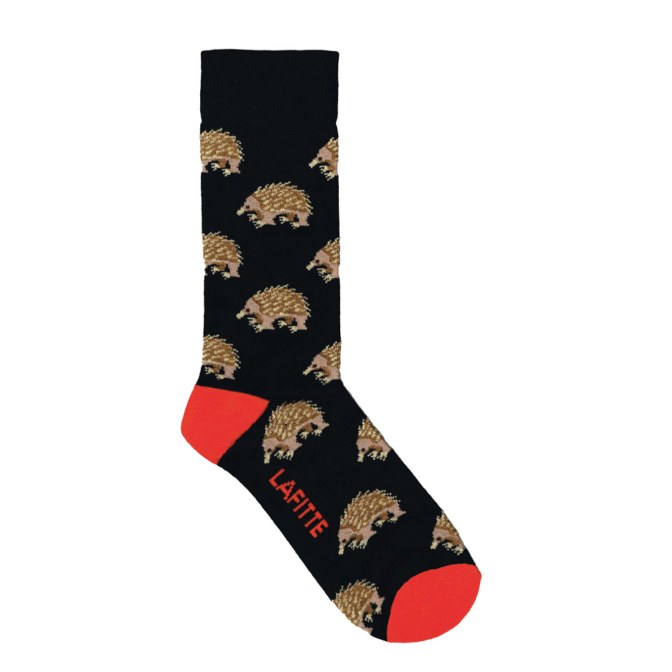 black mens and womens echidna cotton socks aus